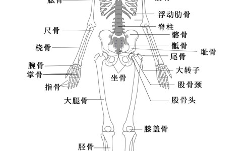 孕妇喝鱼汤怎么炖好喝又营养丰富-孕妇炖鱼汤放什么材料、孕妇炖鱼汤放什么材料 -孕妇鱼汤怎么炖最有营养价值网