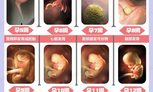 孕妇炖鱼汤放什么材料、孕妇炖鱼汤放什么材料 -孕妇鱼汤怎么炖最有营养价值网